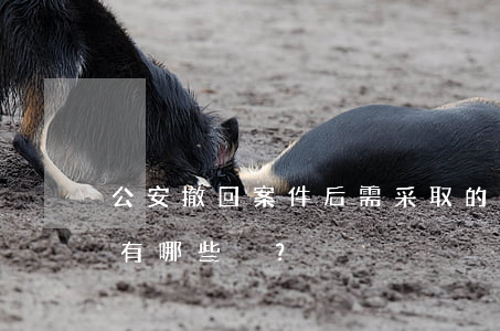 公安撤回案件后需采取的行動(dòng)有哪些？